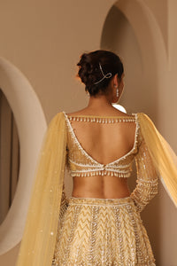 Gold embroidered lehenga set