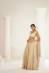 Nude embellished lehenga, Blouse and dupatta Set