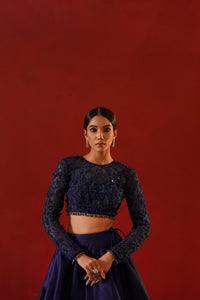 Navy Lehenga Choli Set