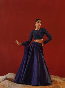 Navy Lehenga Choli Set