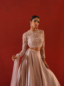 Blush Pink Lehenga Choli set