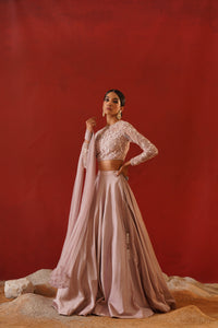 Blush Pink Lehenga Choli set