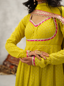 Lime Green Banarsi Georgette Anarkali Set