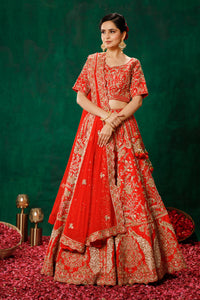 Blood Red Lehenga Choli Set