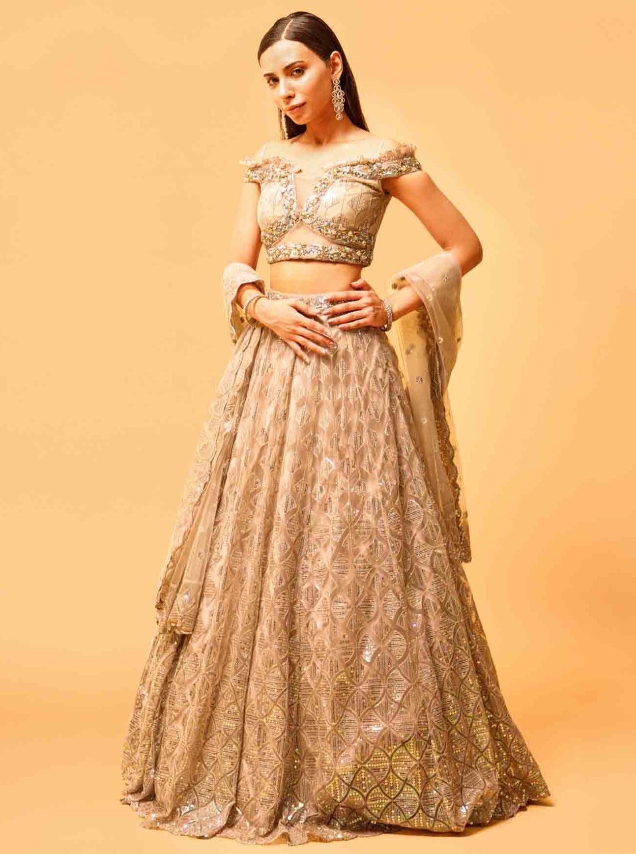 Grey Lehenga Set