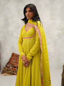 Lime Green Banarsi Georgette Anarkali Set