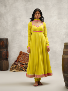 Lime Green Banarsi Georgette Anarkali Set