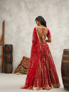 Maroon embroidered lehenga blouse and dupatta set