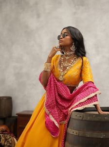 Mustard Embroidered Lehenga Choli Set