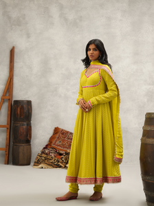 Lime Green Banarsi Georgette Anarkali Set