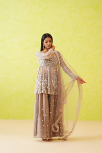 Grey embroidered Kurti, Sharara and Dupatta Set