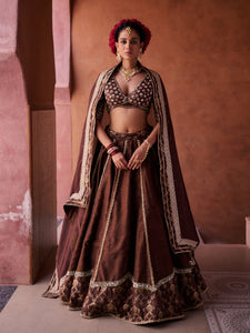Brown upada silk blouse, lehenga and organza dupatta