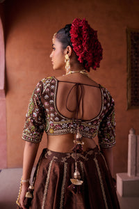 Brown upada silk blouse, lehenga and organza dupatta