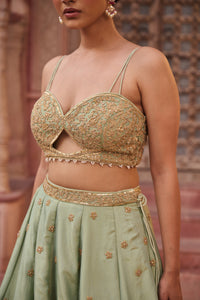 Mint green shimmer tissue Blouse, lehenga and dupatta