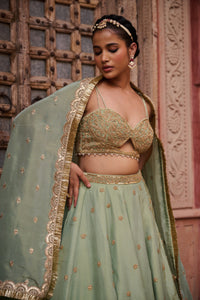 Mint green shimmer tissue Blouse, lehenga and dupatta